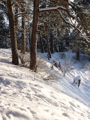 Val Zvenigoroskogo Kremlya - Historical landmark in Russia