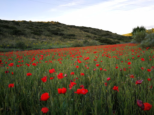 Valdecorzas 102 - Housing development in Spain