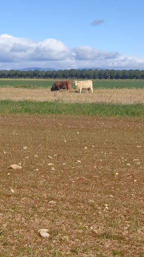 Valdetorres del Jarama - Housing development in Valdetorres de Jarama, Spain
