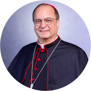 Valdir José de Castro