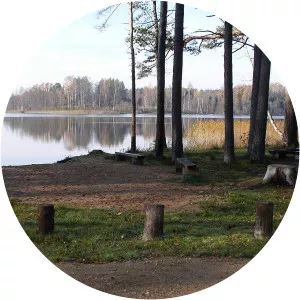 Valgjärv