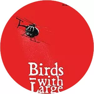 Valiya Chirakulla Pakshikal