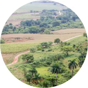 Valle de los Ingenios - 