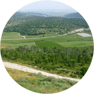 Valley of Elah - Valley in Israel