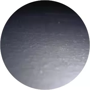 valyri - Musical artist