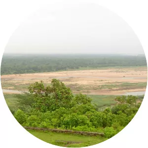 Vamsadhara River