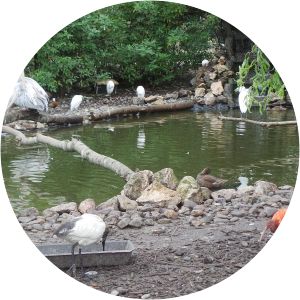 Van Blanckendaell Park