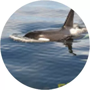 Vancouver Island Visitor Centre