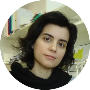 Vânia M Moreira - Researcher