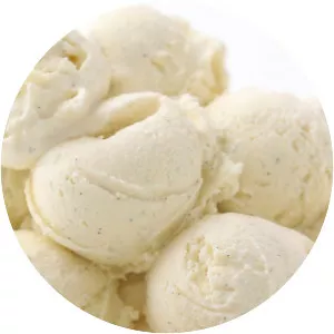 Vanilla ice cream photograph