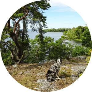 Väsby hage Nature Reserve