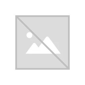 Vasco Pulido Valente