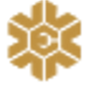 Vascon Engineers Ltd