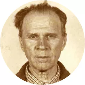 Vasile Stoica