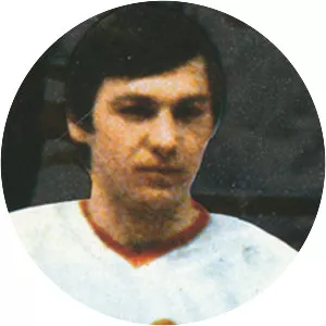 Vasili Pervukhin