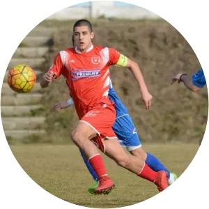 Vasilije Veljko Milovanović