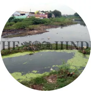 Vasishta Nadi - River in India
