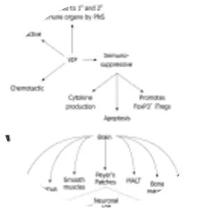Vasoactive intestinal peptide - 