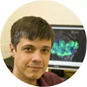 Vassilis Angelopoulos