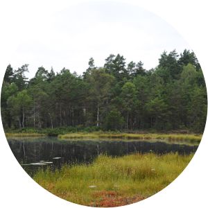 vattgruvsmossens naturreservat korpbergets naturreservat - 