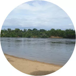 Vaupés River - Tributary in South America