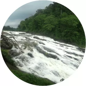 Vazhachal Falls