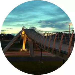 Vebjørn Sand Da Vinci Project