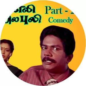 Veetla Eli Veliyila Puli