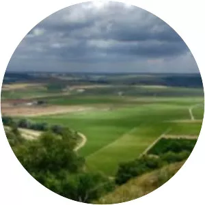 Vega del Guadalquivir