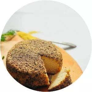 Vegan cheese photograph