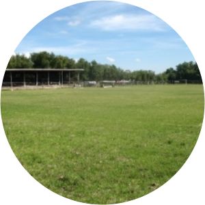 Vegpro F.C. photograph