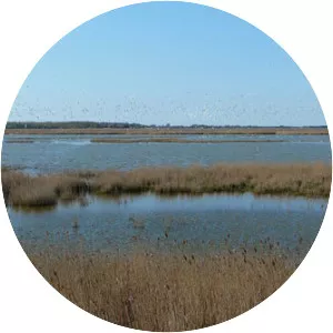 Vejlen - Bus stop in Vadum, Denmark