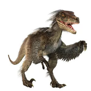 Velociraptor - Dinosaur