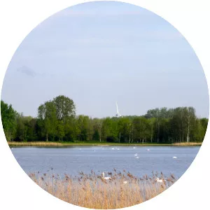 Veluwemeer