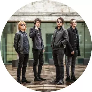 Velvet Echoes - Musical artist