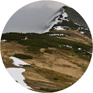 Velyka Syvulya Mountain - Mountain in Ukraine