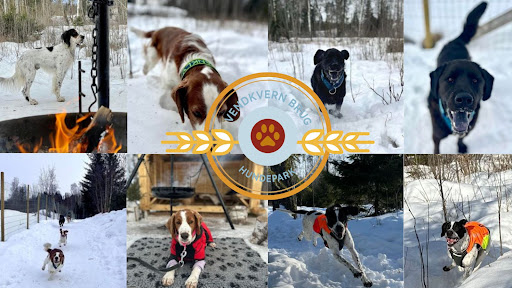 Vendkvern Brug Hundepark - Dog park in Norway