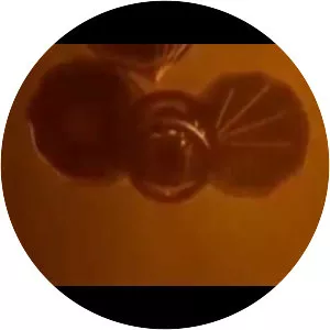 Venera 14 - Spacecraft