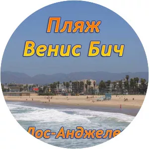 Venice Beach photograph