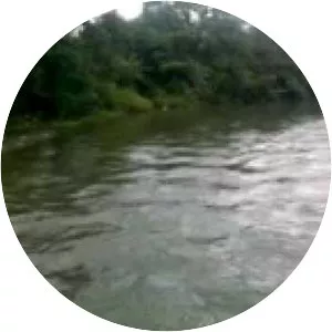 Venna River