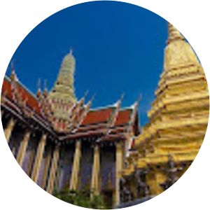 Venum Training Camp Thailand