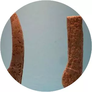 Venus figurines of Gönnersdorf - 