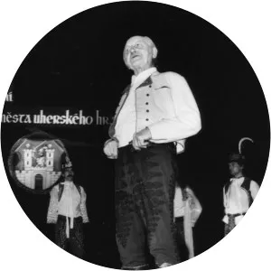 věra domincová karel sháněl