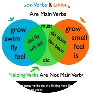 Verb - 