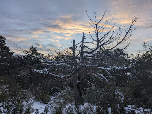 Vereda de las Encinillas - Hiking area in Spain