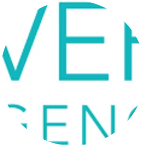 Verge Analytics, Inc. - Company