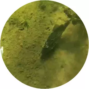 Verkhneural'skoye Vodokhranilishche