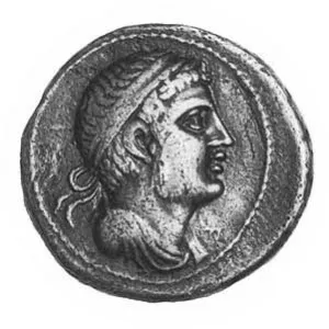 Vermina - Syphax's son