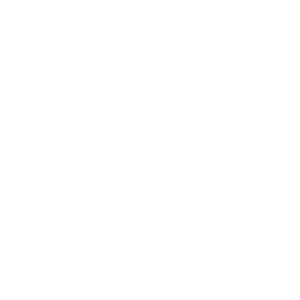 Vermont Symphony Orchestra