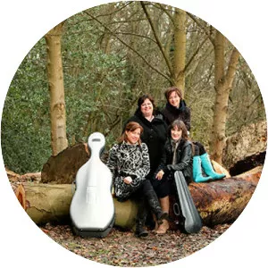 Vertavo String Quartet